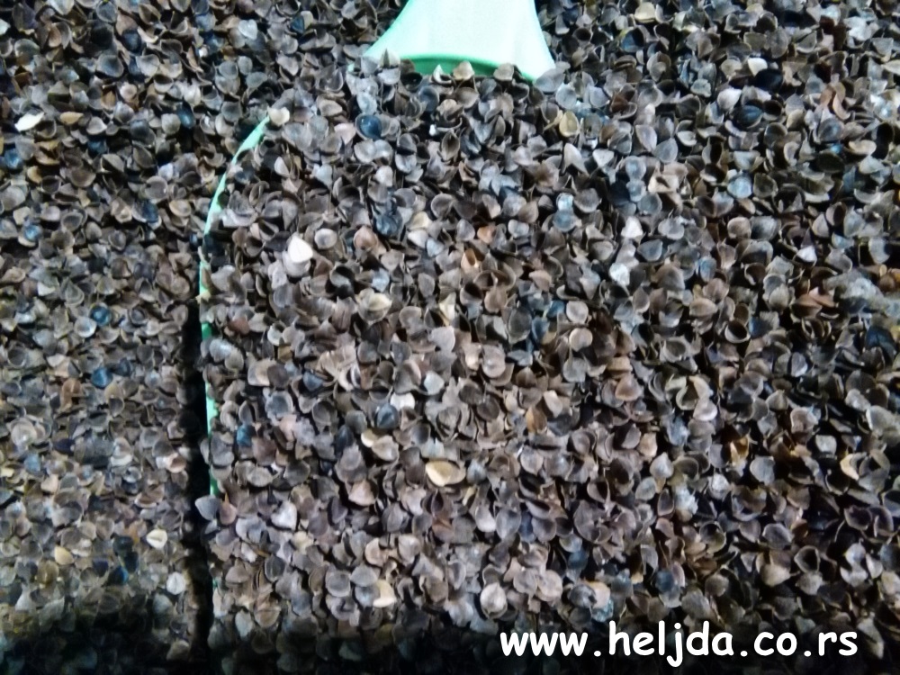 Ljuspica od heljde