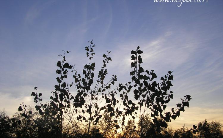 Zalazak uoči punog meseca 31.10.2012 sombor