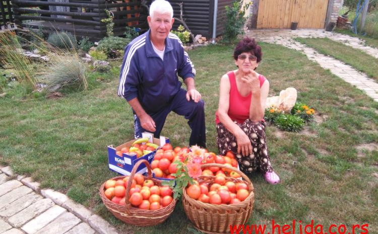 Mama, tata i paradajz