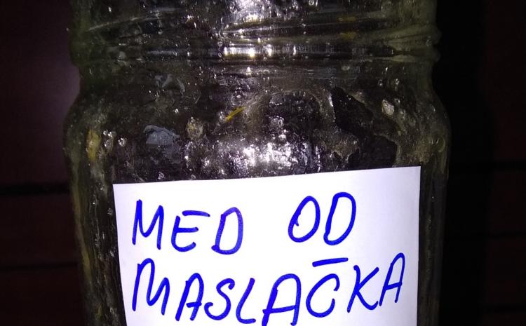 gotov med od cvetova maslačka