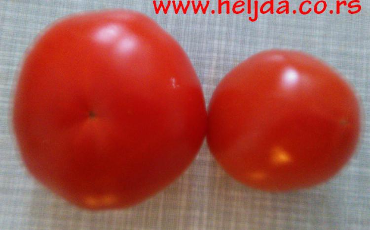 Plastični paradajz