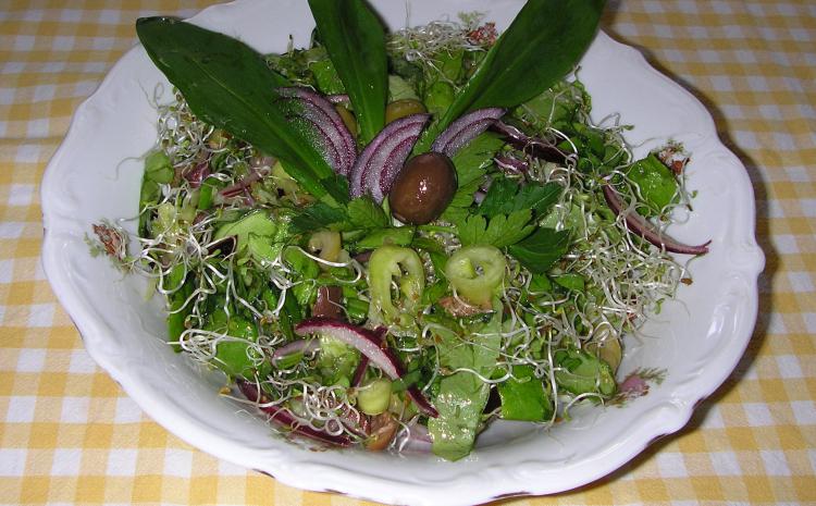 sveža salata sa listovima sremuša, klice lucerke i maslinama