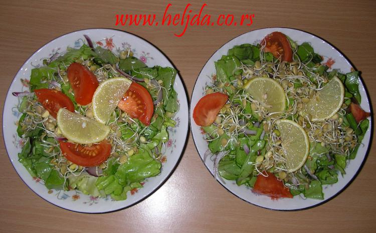 Zelena salata sa svežim klicama