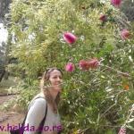 Dubrovnik-Lokrum 2014