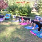 Blok, joga pomagalo