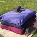 jastuk za pse i mačke od heljde