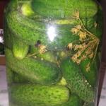 turšija bez konzervansa